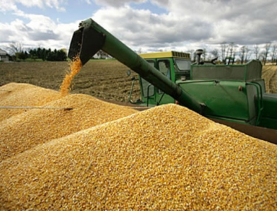 Agroindustria en Bolivia
